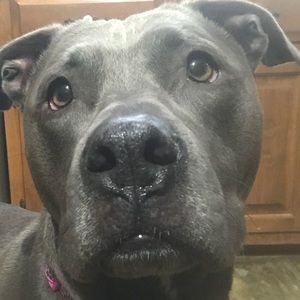 Meet your Posher, Janna